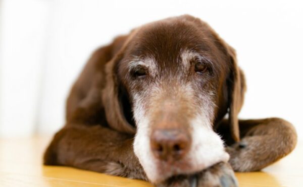 施設の種類について②