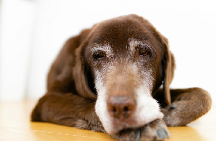 施設の種類について②